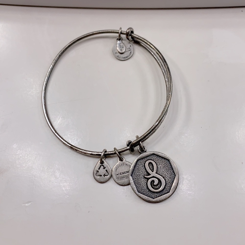 Alex and Ani silver bracelet with charm